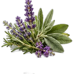 Aromatic notes