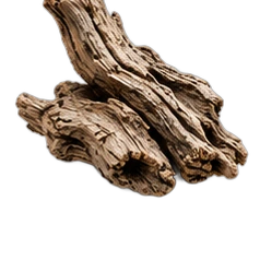 Dry woods