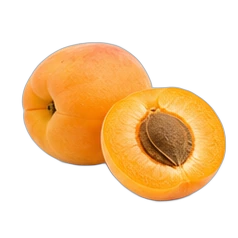 Apricot