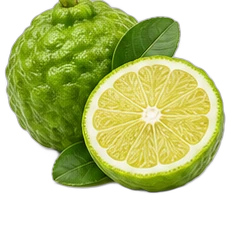 Bergamot