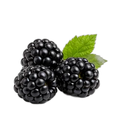 Blackberry