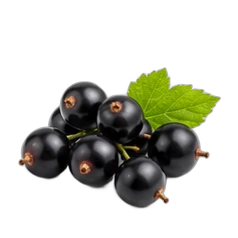 Blackcurrant