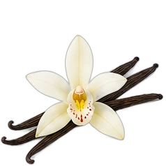 Vanilla