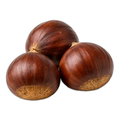 Chestnut
