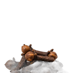 Clove