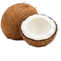 Coconut