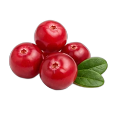 Cranberry