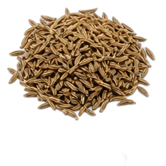 Cumin