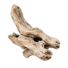Driftwood