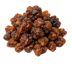 Elemi resin
