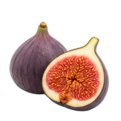 Fig