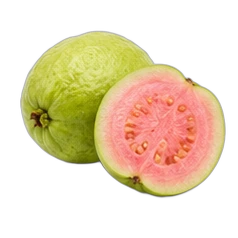 Guava