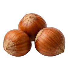 Hazelnut