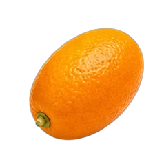 Kumquat