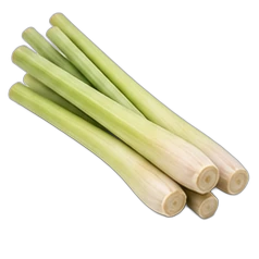 Lemon grass