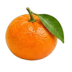 Mandarin orange