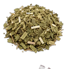 Maté