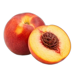 Nectarine