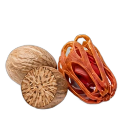 Nutmeg