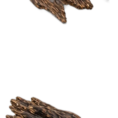Oud