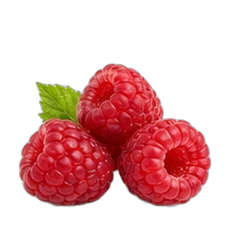 Raspberry
