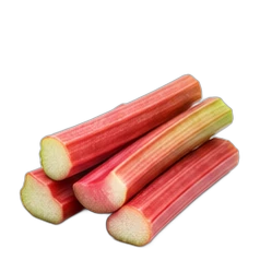 Rhubarb