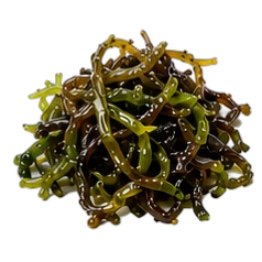 Algae
