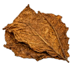 Tobacco leaf