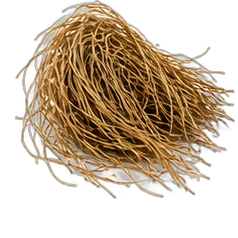 Vetiver