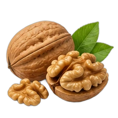 Walnut