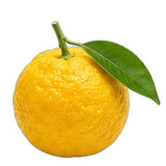 Yuzu